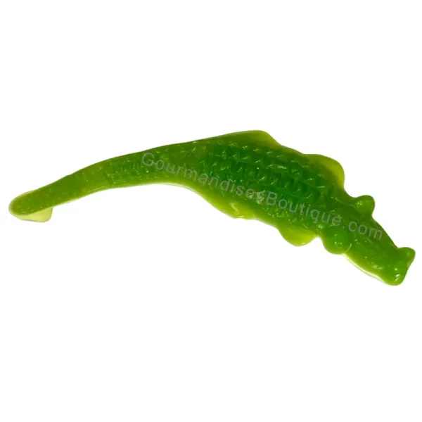 Alligator Bonbon xxl/géant - Sucrerie au pomme.